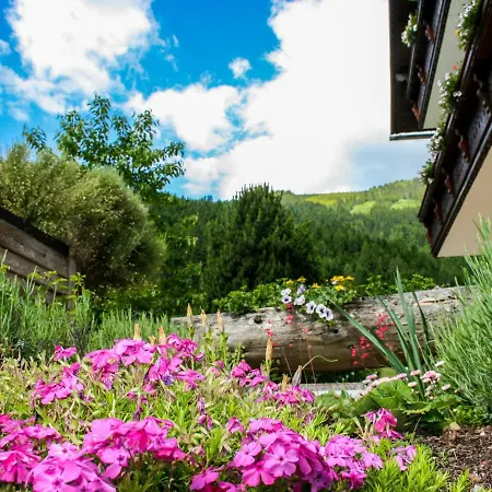Almsommer By Interhome Apartment *